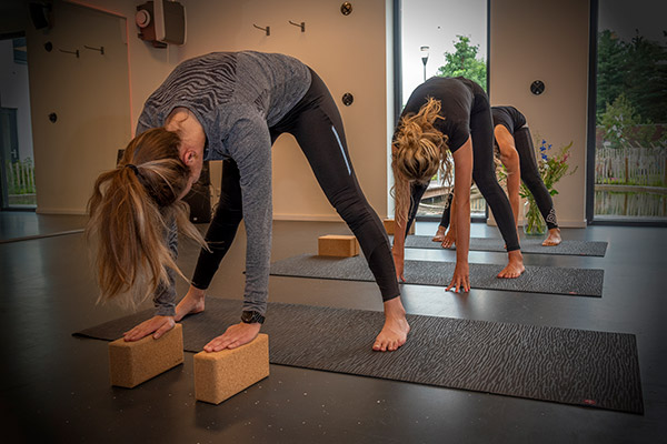 BEGINNEN MET YOGA